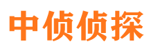 社旗市调查公司